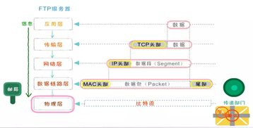 计算机及网络知识