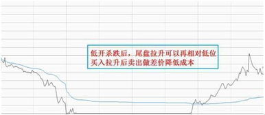 中孚实业，今天会怎么样呢，有机会T+0操作吗