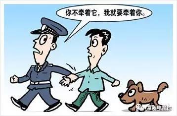 明天起,富阳严打不文明养犬行为,处罚力度大