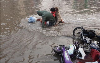 石家庄河水倒灌马路成河 市民 逆水行舟