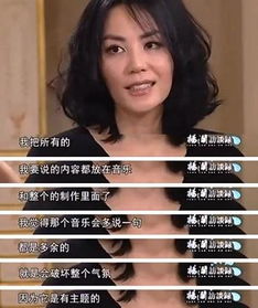 王菲谈演唱会不说话原因 我不希望自己太做作