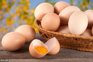 鸡蛋到底属于素食还是荤菜 荤食和素食是怎么区分的