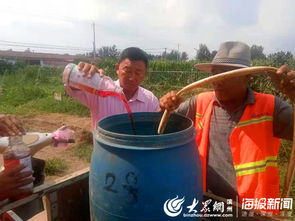 大年陈镇开展雨后除草灭菌杀虫行动