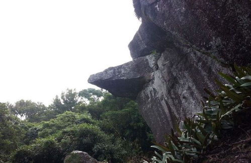 广东最适合旅游的景点,有山有水的好地方,看看你去过吗