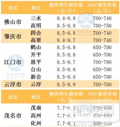 2019年6月4日广东各地市猪价