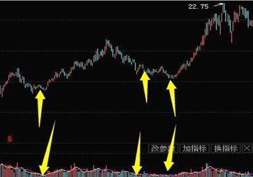 中石油、中石化公司的股票多久分红一次？