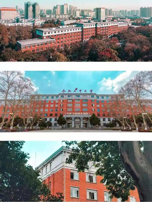 位于合肥的大学有哪些