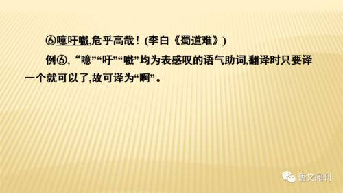 备战2021高考之文言文翻译详解及专项练习