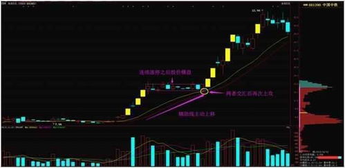 请问：怎么样才能看出某只股票的某一天买入的大股东是哪个公司