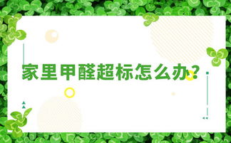 还没完除甲醛的有福了 内行人教你3个简单方法,快速住新家