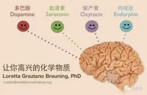 有一种 过劳肥 还真不能用运动解决