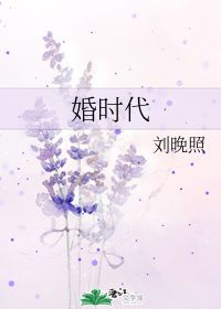 婚时代 刘晚照 晋江文学城 