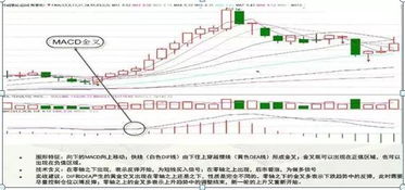 股票MACD一旦出现 上涨之眼 信号,立即买入,永远的稳赚不亏