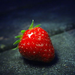 草莓榴莲向日葵秋葵香蕉免费的简单介绍