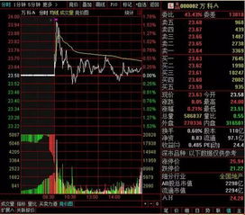 中信建投mac版 怎样搜索股票