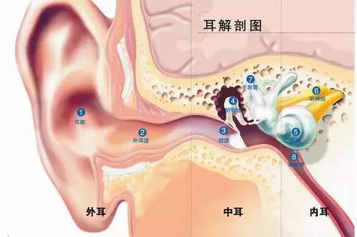 可怕 因为爱掏耳朵,成都男子耳朵感染霉菌长毛 专家 正常人不需要掏耳朵