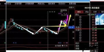 8月25日四川黄金贵金属龙头股跌幅超过5%