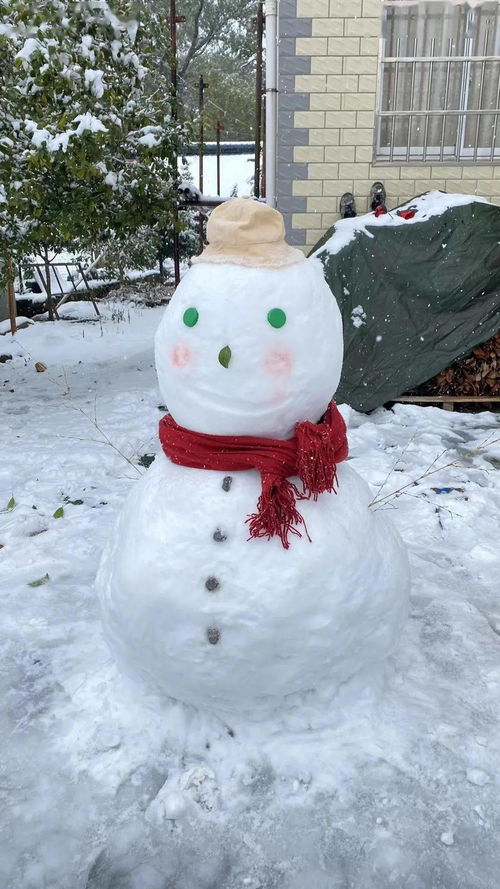 九江人朋友圈堆雪人大赛,你Pick哪一个