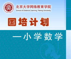 北京大学现代远程教育课件演示 