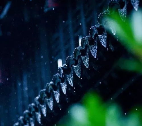 今日雨水丨雨水降,万物长,疫情退,人间祥 春雨 