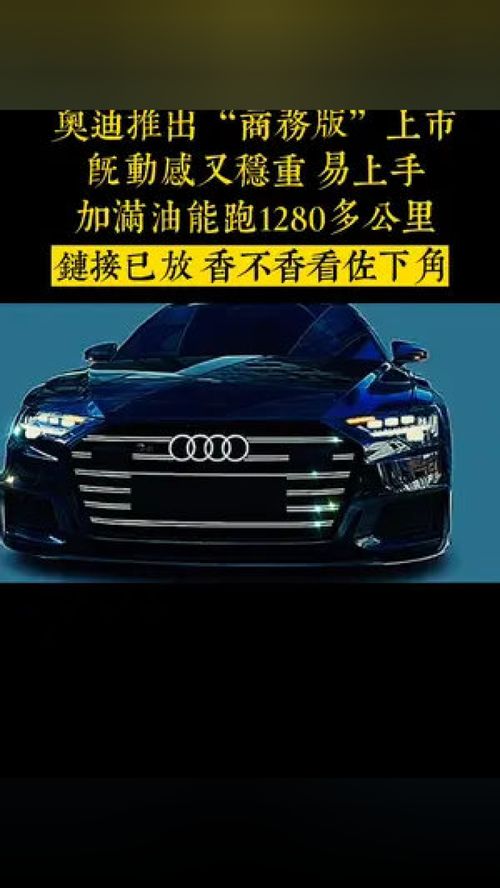 2022款新式汽车牌照(2024新车牌白色什么时候启用)