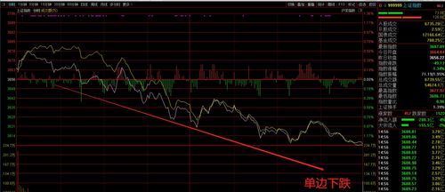 2021年下半年煤炭龙头股票有哪些