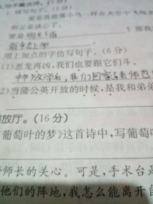 谁什么时候才造句（什么啊什么才什么造句？）