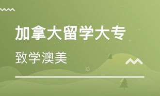 大专留学，专科可以出国留学么