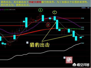 期货为什么要补仓(期货为什么补仓了)