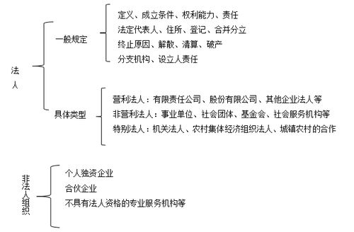 2020新疆法律职业资格考试知识点 法人和非法人组织大纲要求和考查重点