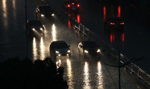 雨夜随感,未免无病呻吟了些