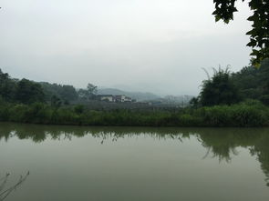 风水案例 风水大师王君植湖南看风水金星宝地,长沙衡阳风水培训弟子随师学习