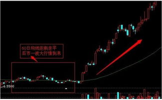 请问大笔买单直接封停是什么意思?高手指教