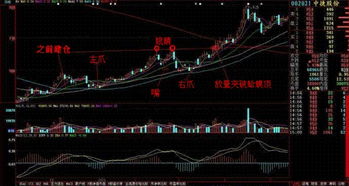 金蛤蟆形态与老鸭头形态的股票哪个更具有冲力