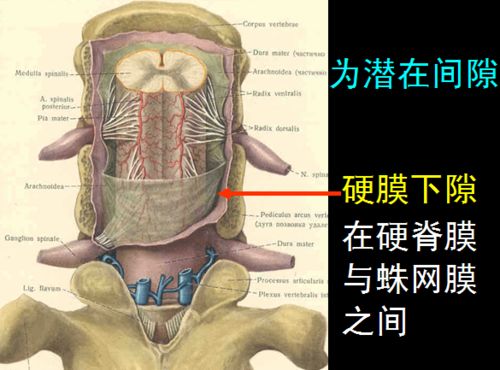 有哪些方法可以缓解剖腹产后便秘的症状？