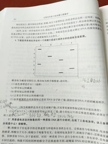 为什么sanger测序被称为dna序列测定"；金标准