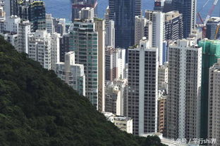 实拍香港的富人区浅水湾,这里的房价全香港最贵