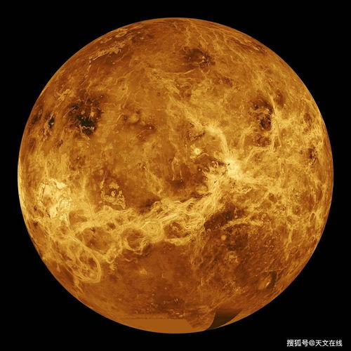 金星纹图解与命运