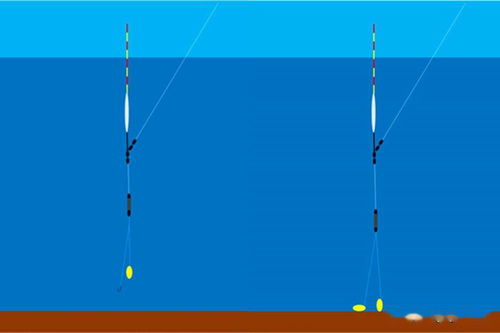 图解钓鱼调漂的5种方法,各有各的特点,适合不同的鱼情
