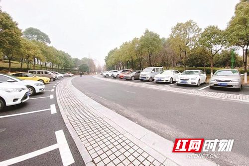 团结湖公园免费停车 停哪里 (海晏路附近免费停车场在哪)