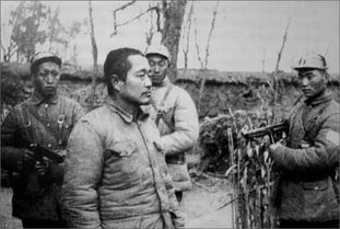杜聿明被俘的真实经过 自爆身份并要求见陈毅 