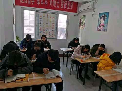 学日语网课哪个比较好(图2)