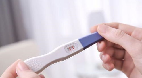 女人怀孕后,最快几天能测出来 很多备孕期的妈妈都不知道
