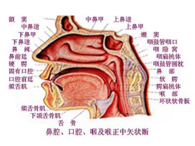 如何治疗咽炎,值得一看的好方法