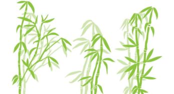 关于赞扬竹子品格的诗句