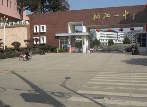 桃江县第2起校园结核疫情有几名患病学生休学 