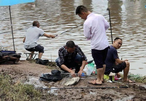 洪水过后,很好钓鱼了吗 