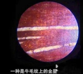 小叶紫檀真假金星鉴别 图文 