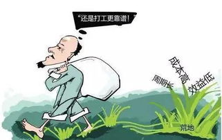 农民为什么不愿意种地了