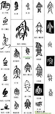 鱼的各种字体